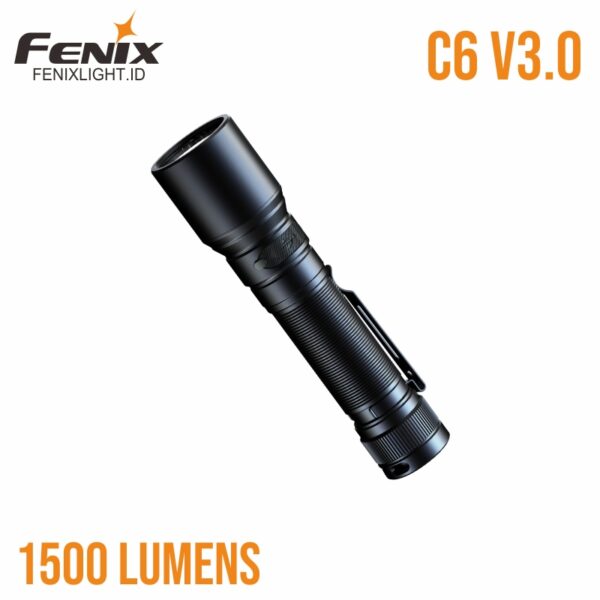 fenix c6 v3.0